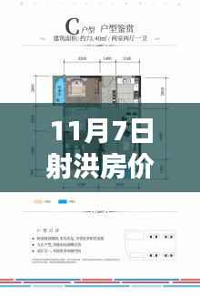 射洪房价最新动态,11月7日探房之旅,新居梦温馨启程