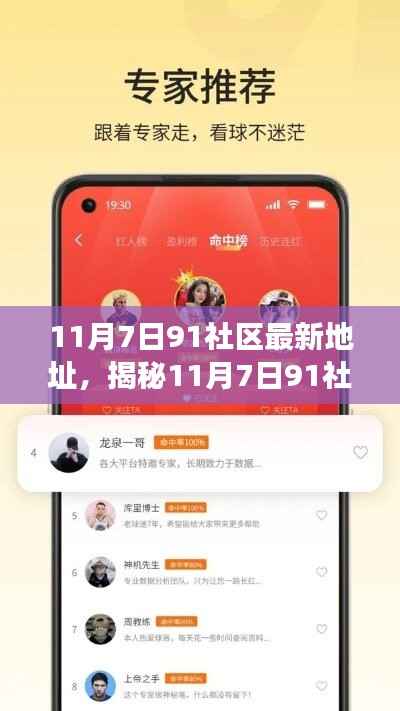 揭秘,11月7日91社区最新地址及其变迁与要点深度探讨