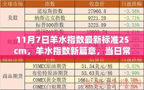 羊水指数最新标准,科学守护母婴之爱,羊水之约的新篇章(11月7日更新)