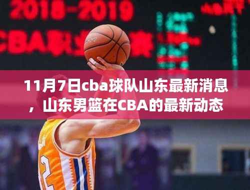 山东男篮CBA最新动态,回顾与展望(11月7日)