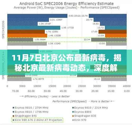 北京最新病毒动态深度解析,揭秘、应对策略与最新更新(11月7日)