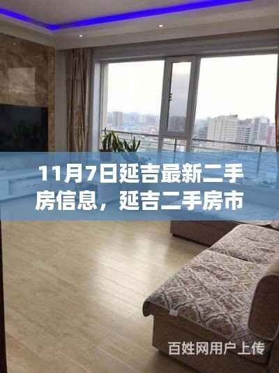 揭秘延吉二手房市场最新动态,最新房源信息与市场动态解析(11月7日)