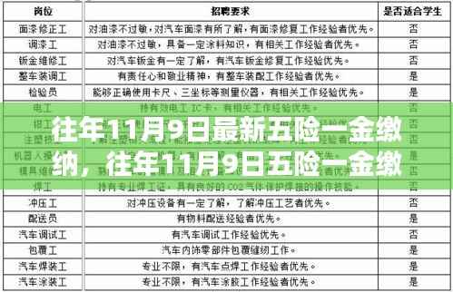 往年11月9日五险一金缴纳详解与产品全面评测介绍