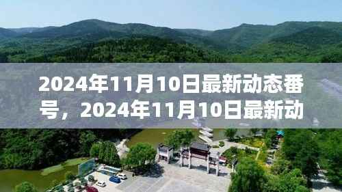 关于涉黄问题的探讨,最新动态与观点探讨(2024年11月10日更新)
