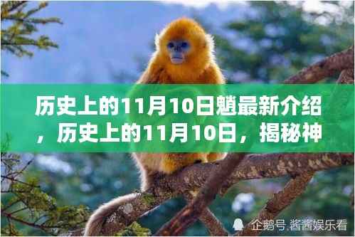 企业优势 第645页