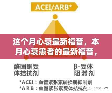 本月心衰患者的全方位应对指南,掌握应对心衰技能的最新福音