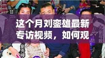 如何观看刘銮雄最新专访视频,详细步骤与独家体验分享