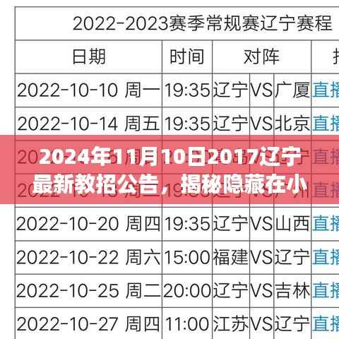 辽宁教招公告背后的故事,揭秘隐藏在小巷深处的独特小店(2024年最新)