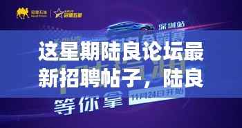 陆良论坛火热招聘季,新帖来袭,梦想工作等你来!