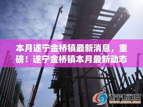 遂宁金桥镇本月最新动态揭秘,重磅消息与大动作连连看!