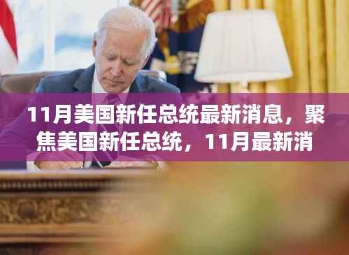美国新任总统最新动态,聚焦11月最新消息解读