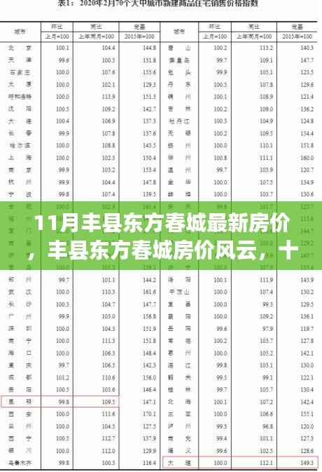 丰县东方春城房价风云,最新动态与深度解读十一月房价走势
