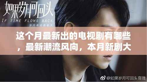 本月新剧速递,热门电视剧大盘点与潮流风向解析