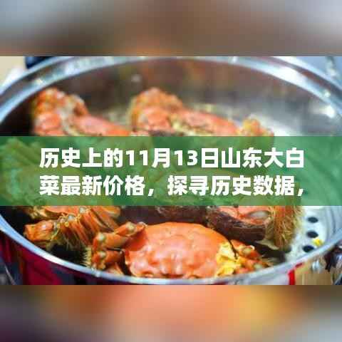 揭秘山东大白菜历史价格走势,最新价格查询与解读指南——探寻历史数据背后的秘密!
