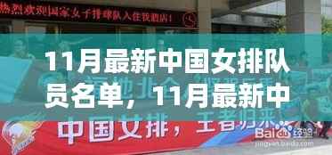 中国女排新篇章,11月最新队员名单公布,崛起的力量