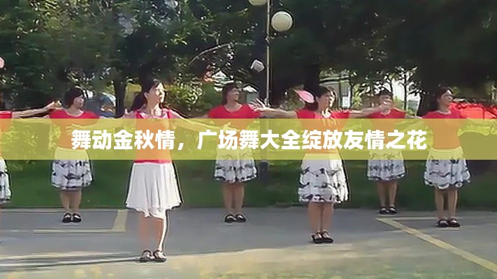舞动金秋情,广场舞大全绽放友情之花