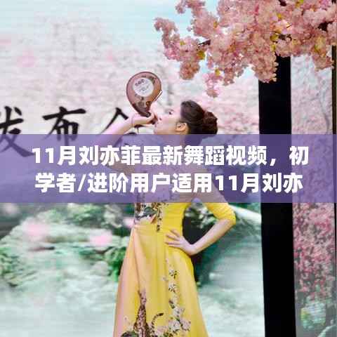 11月刘亦菲最新舞蹈视频学习全攻略,适合初学者与进阶者的舞蹈教学