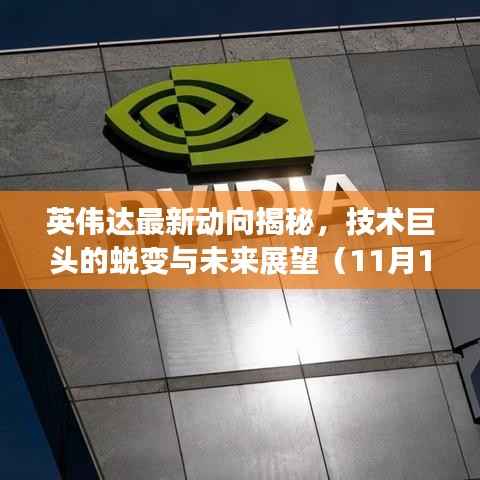 英伟达最新动向揭秘,技术巨头的蜕变与未来展望(11月13日更新)