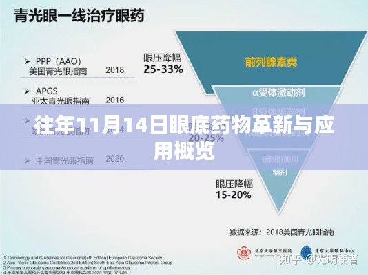 往年11月14日眼底药物革新与应用概览