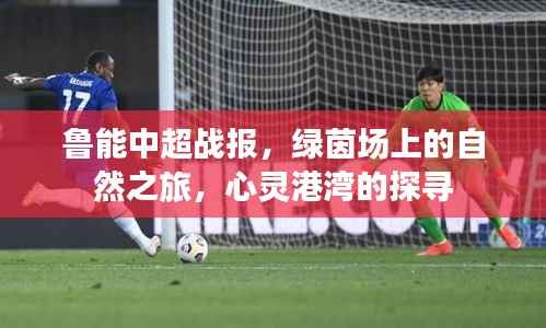 鲁能中超战报,绿茵场上的自然之旅,心灵港湾的探寻