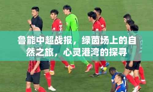 鲁能中超战报,绿茵场上的自然之旅,心灵港湾的探寻