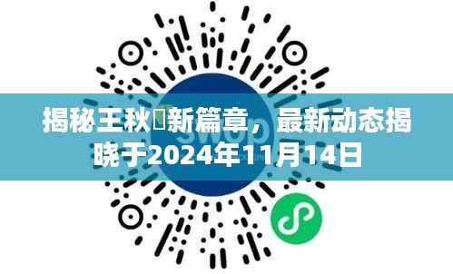 揭秘王秋彧新篇章,最新动态揭晓于2024年11月14日