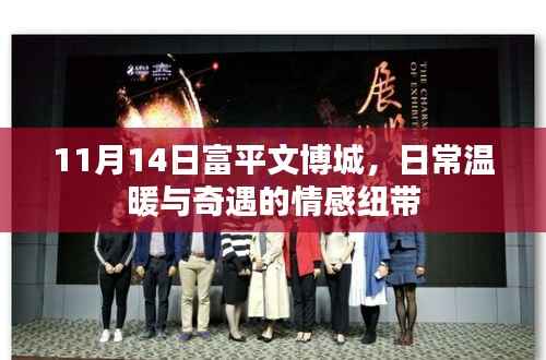 11月14日富平文博城,日常温暖与奇遇的情感纽带