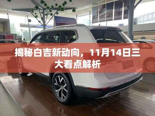 揭秘白吉新动向,11月14日三大看点解析