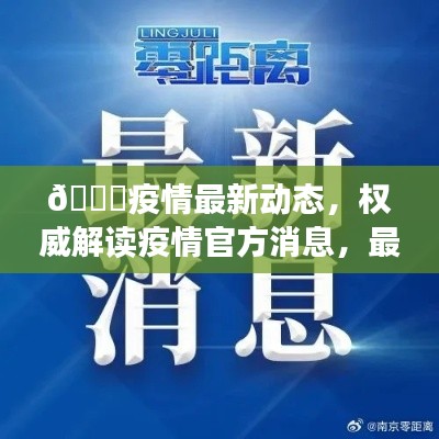 🌟疫情最新动态,权威解读疫情官方消息,最新动态尽在掌握🌟(日期,2024年11月15日)