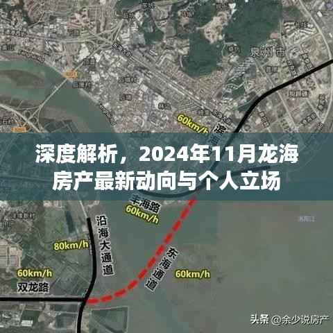 深度解析,2024年11月龙海房产最新动向与个人立场