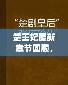 楚王妃最新章节回顾,背景、事件、影响与时代地位(往年11月15日)