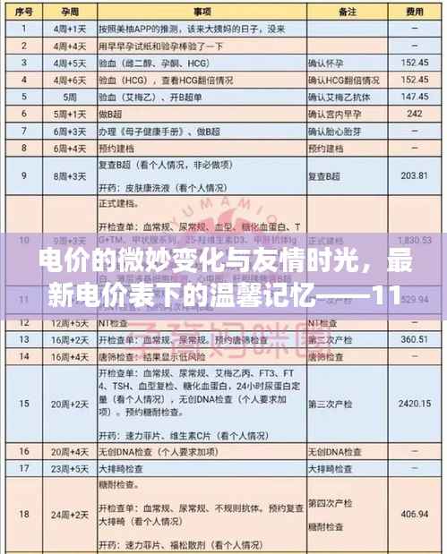 电价的微妙变化与友情时光,最新电价表下的温馨记忆——11月15日回顾