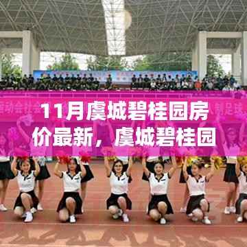 虞城碧桂园最新房价动态,全面评测与深度分析