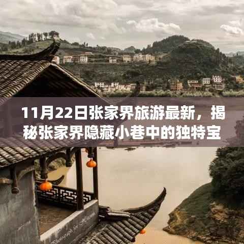 揭秘张家界隐藏小巷中的宝藏,11月22日最新旅游指南与特色小店探秘