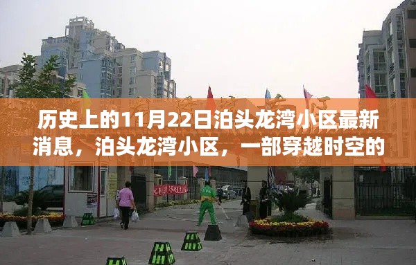 泊头龙湾小区,穿越时空的社区发展史纪实——最新消息更新日,11月22日纪实报道