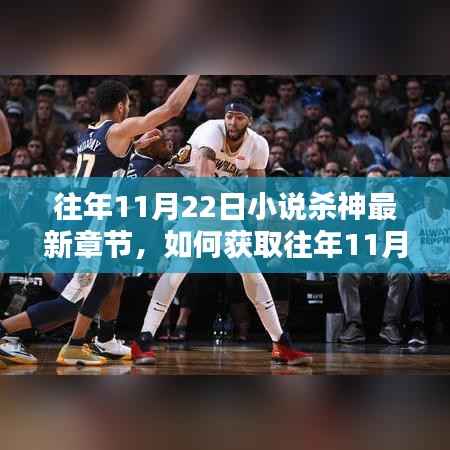 往年11月22日小说杀神最新章节获取指南