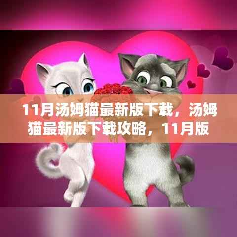 11月最新版汤姆猫下载攻略,步骤详解与特色解析