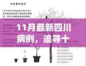 四川十一月病例追踪与美景探索,心灵宁静之旅