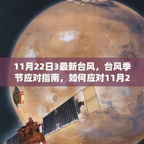 应对指南,如何应对最新台风季节中的台风袭击,特别关注11月22日最新台风动态