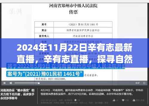 辛有志直播探寻自然秘境之旅,心灵净土的启程之旅(最新直播时间,2024年11月22日)