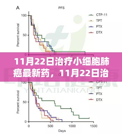 最新小细胞肺癌治疗药物评测介绍,11月22日新药速递