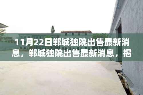 揭秘郸城独院出售最新消息及其背后的故事与深远影响(独家报道)