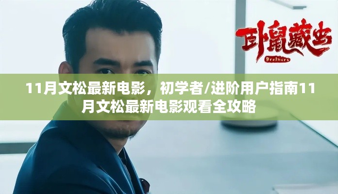 11月文松最新电影观看指南,初学者与进阶用户全攻略