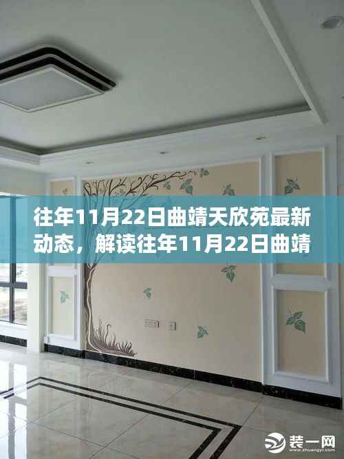 解读往年11月22日曲靖天欣苑最新动态,深度分析与观点阐述