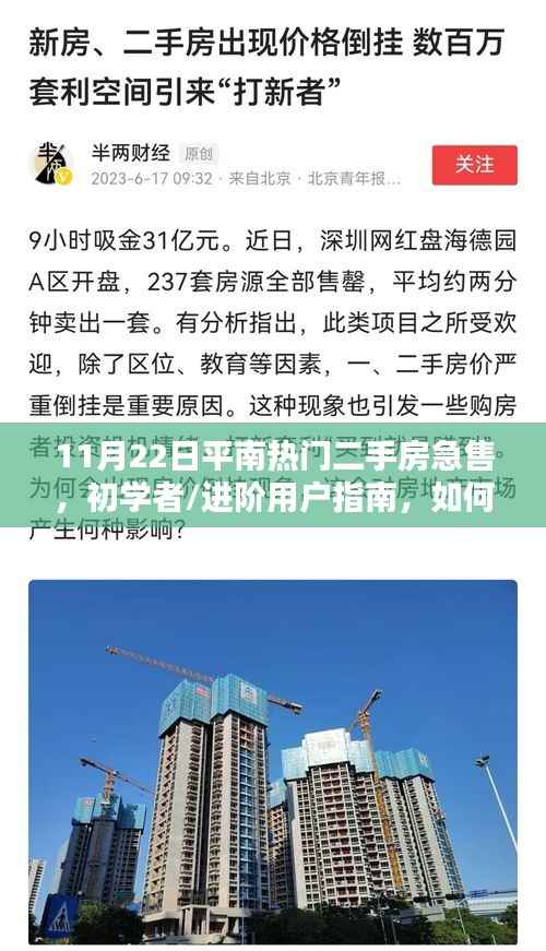 11月22日平南热门二手房急售攻略,初学者与进阶用户指南