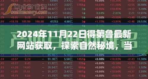 心灵之旅启程,探索自然秘境,最新网站带你寻找内心宁静与美景(2024年11月22日更新)