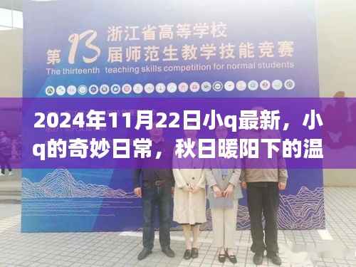 秋日暖阳下的温馨时光,小q最新日常分享