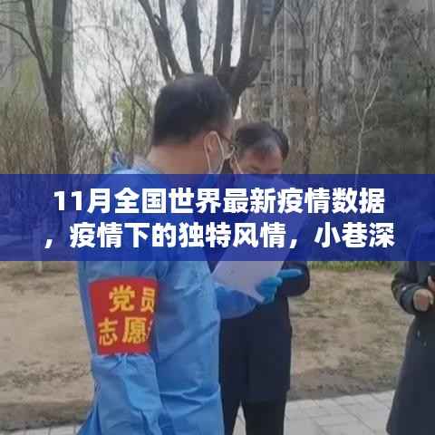 11月全球最新疫情数据,小巷特色小店中的疫情风情与全国实时动态分析