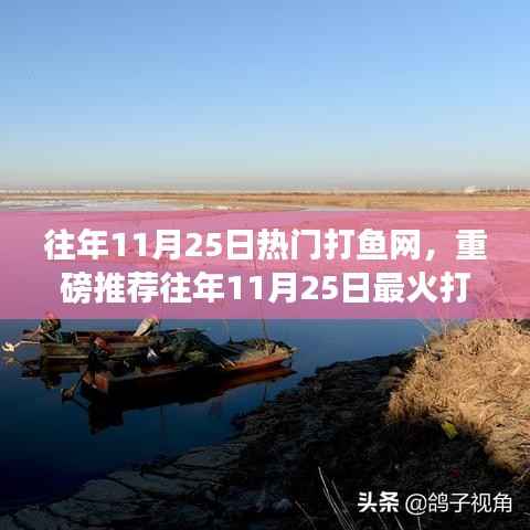 往年11月25日热门与最火打鱼网,犯罪行为的警示与回顾