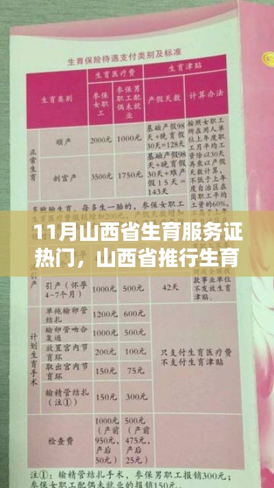 山西省生育服务证制度,利弊分析与个人观点观察